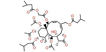 Gemmacolide AH